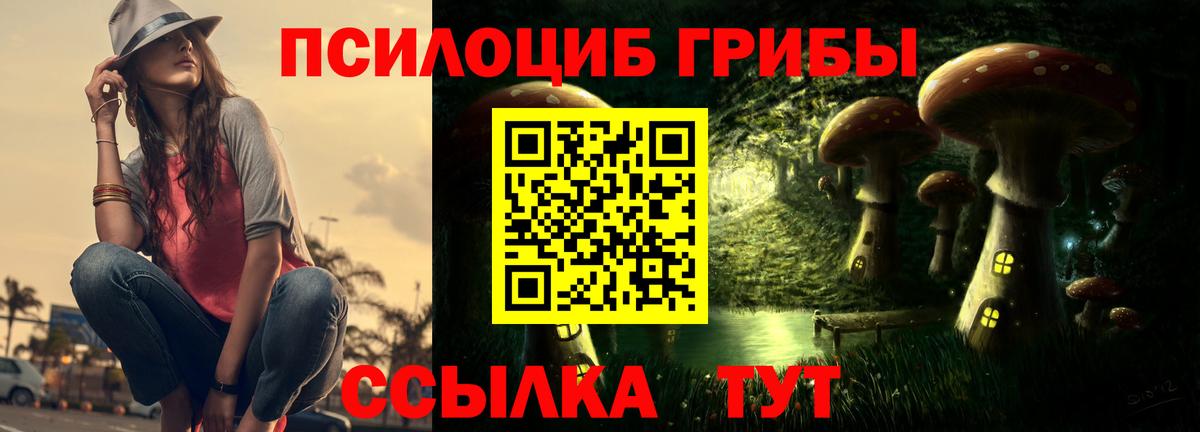 Галлюциногенные грибы Psilocybe  Вход с VPN  Назрань  Галлюциногенные грибы Magic Shrooms 